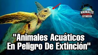 Top 10 Animales Acuáticos En Peligro De Extinción [upl. by Schaffer43]