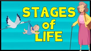 Stages of Life  Vocabulary  Minimal English [upl. by Zetnod445]