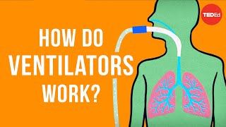 Ventilation V Perfusion Q Coupling [upl. by Eimaraj]