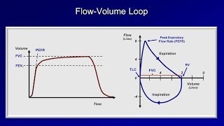 Pulmonary Function Tests PFT Lesson 2  Spirometry [upl. by Libby]