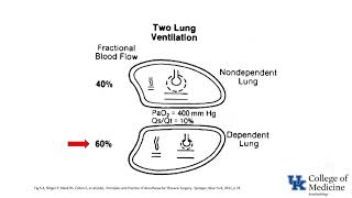 LearnVisible Body  Pulmonary Ventilation [upl. by Ruskin411]